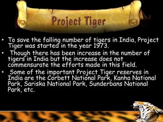 • To save the falling number of tigers in India, Project
  Tiger was started in the year 1973.
• Though there has been increase in the number of
  tigers in India but the increase does not
  commensurate the efforts made in this field.
• Some of the important Project Tiger reserves in
  India are the Corbett National Park, Kanha National
  Park, Sariska National Park, Sunderbans National
  Park, etc.
 