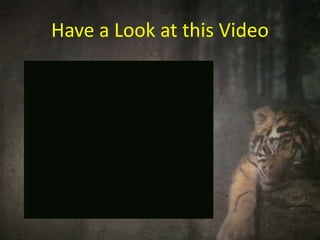 Have a Look at this Video
 