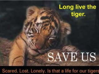 Long live the
Lacking in Implementation
                     tiger.
 