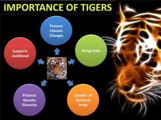 Prevent
                  Climatic
                  Changes


 Supports                       Brings Rain
Livelihood




      Protects               Symbol of
      Genetic                 National
      Diversity                Pride
 