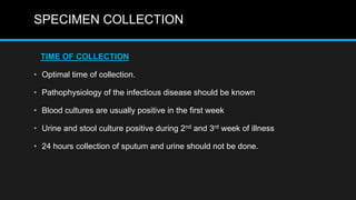 SPECIMEN COLLECTION
TIME OF COLLECTION
• Optimal time of collection.
• Pathophysiology of the infectious disease should be known
• Blood cultures are usually positive in the first week
• Urine and stool culture positive during 2nd and 3rd week of illness
• 24 hours collection of sputum and urine should not be done.
 