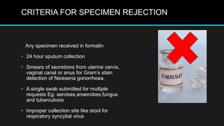 CRITERIA FOR SPECIMEN REJECTION
Any specimen received in formalin
• 24 hour sputum collection
• Smears of secretions from uterine cervix,
vaginal canal or anus for Gram’s stain
detection of Neisseria gonorrhoea.
• A single swab submitted for multiple
requests Eg: aerobes,anaerobes,fungus
and tuberculosis
• Improper collection site like stool for
respiratory syncytial virus
 