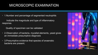 MICROSCOPIC EXAMINATION
• 1.Number and percentage of segmented neutrophils
Indicate the magnitude and type of inflammatory
response.
Quality of specimen can be validated
• 2.Observation of bacteria, mycelial elements, yeast gives
an immediate presumptive diagnosis
• 3.Presumptive evidence that species of anaerobic
bacteria are present.
 