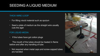 SEEDING A LIQUID MEDIUM
THICK WIRE /LOOP
• For lifting viscid material such as sputum
• Seed a plate of medium as the straight wire usually
cuts the agar
FOR LIQUID MEDIA
• If the tubes have got cotton plugs
The mouth of the tubes should be heated in flame
before and after any handling of tube
• Not required when metal caps and screw-capped tubes
are handled
 