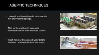 ASEPTIC TECHNIQUES
• Keep all specimens in racks to reduce the
risk of accidental spillage.
• Mop up the workbench clean with
disinfectant at the start and close of work.
• Wash hands with soap and water before
and after handling infectious specimens
 
