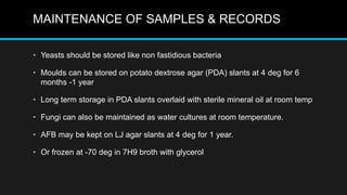 MAINTENANCE OF SAMPLES & RECORDS
• Yeasts should be stored like non fastidious bacteria
• Moulds can be stored on potato dextrose agar (PDA) slants at 4 deg for 6
months -1 year
• Long term storage in PDA slants overlaid with sterile mineral oil at room temp
• Fungi can also be maintained as water cultures at room temperature.
• AFB may be kept on LJ agar slants at 4 deg for 1 year.
• Or frozen at -70 deg in 7H9 broth with glycerol
 