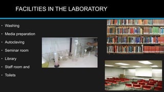 FACILITIES IN THE LABORATORY
• Washing
• Media preparation
• Autoclaving
• Seminar room
• Library
• Staff room and
• Toilets
 