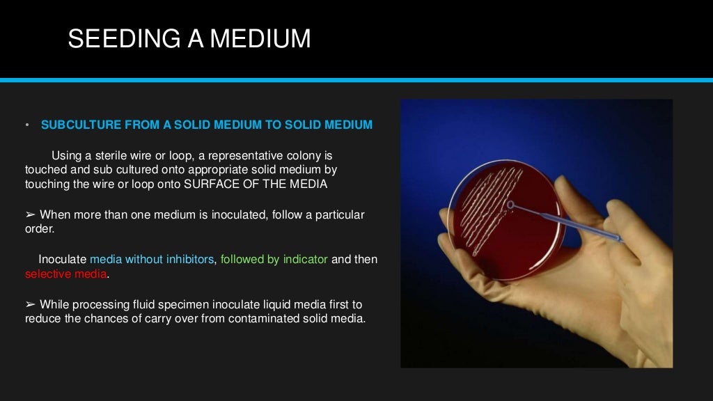 Quality control in microbiology