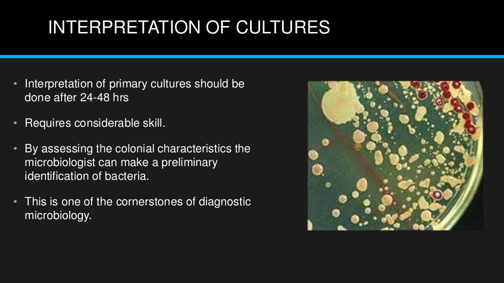 Quality control in microbiology