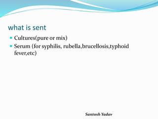 Santosh Yadav
what is sent
 Cultures(pure or mix)
 Serum (for syphilis, rubella,brucellosis,typhoid
fever,etc)
 