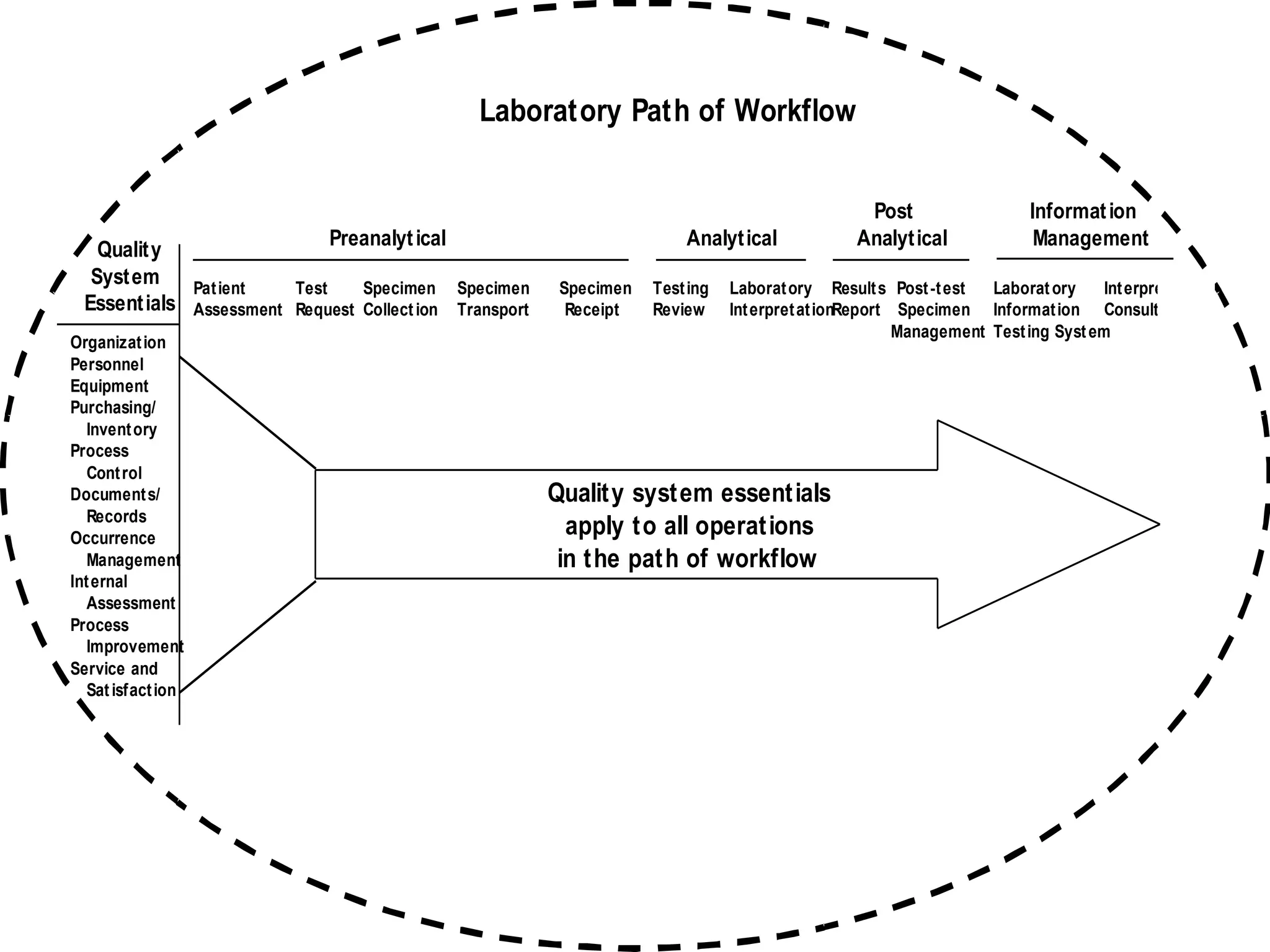 Laboratory Path of Workflow
Quality
System
Essentials
Organization
Personnel
Equipment
Purchasing/
Inventory
Process
Control
Documents/
Records
Occurrence
Management
Internal
Assessment
Process
Improvement
Service and
Satisfaction
Post Information
Preanalytical Analytical Analytical Management
Quality system essentials
apply to all operations
in the path of workflow
Patient Test Specimen Specimen Specimen Testing Laboratory Results Post-test Laboratory Interpretation/
Assessment Request Collection Transport Receipt Review InterpretationReport Specimen Information Consultation
Management Testing System
 