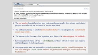  The pus samples from diabetic foot ulcer patients and urine samples from urinary tract infected
patients were collected and inoculated in nutrient agar plates.
 The antibacterial assay of selected commercial antibiotics was tested against the foot ulcer and
urinary tract isolates.
 The result revealed that most of the organisms were found to be resistant against the antibiotics.
 Screening of antibacterial activity of selected plants, methanol extracts of plants were prepared
and tested against foot ulcer pathogens.
 Among the plants used, the methanolic extract Tragia involucrata was very effective against the
foot ulcer pathogens. Allium sativum inhibited the growth of the pathogens isolated from urinary
tract infection.
 
