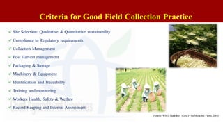 Criteria for Good Field Collection Practice
Site Selection: Qualitative & Quantitative sustainability
Compliance to Regulatory requirements
Collection Management
Post Harvest management
Packaging & Storage
Machinery & Equipment
Identification and Traceability
Training and monitoring
Workers Health, Safety & Welfare
Record Keeping and Internal Assessment
(Source: WHO, Guidelines (GACP) for Medicinal Plants, 2003)
 