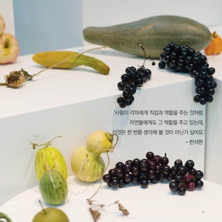 “사람이 각자에게 직업과 역할을 주는 것처럼
자연물에게도 그 역할을 주고 있는데,
이것은 한 번쯤 생각해 볼 것이 아닌가 싶어요.”
- 한석현
9
 