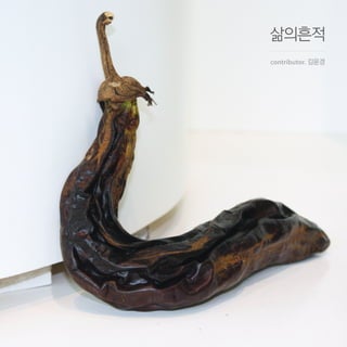 삶의흔적
contributor. 김윤경
 