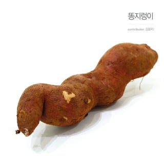 똥지렁이
contributor. 김윤지
 