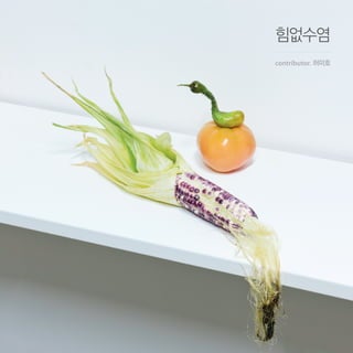 힘없수염
contributor. 허미호
 