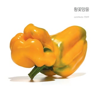 황꽃망울
contributor. 안소미
 