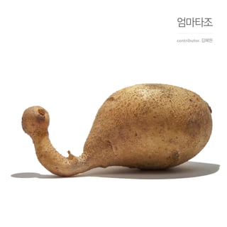 엄마타조
contributor. 김혜원
 