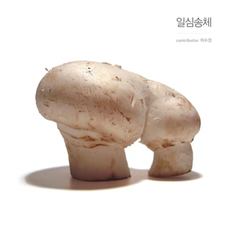 일심송체
contributor. 허수정
 