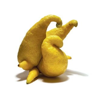 [표준자연 l Quality Control] 展 SPECIAL NOTE_2016서울시하늘광장갤러리공모선정작