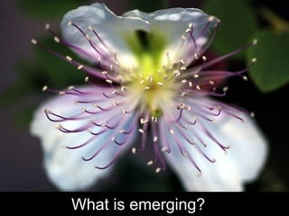 What is emerging? 