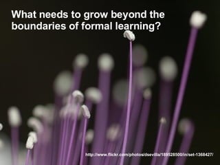 What needs to grow beyond the  boundaries of formal learning? http://www.flickr.com/photos/dsevilla/189528500/in/set-1368427/ 