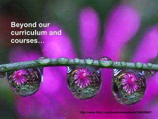 Beyond our curriculum and courses… http://www.flickr.com/photos/stevewall/206426067 / 