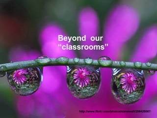 Beyond  our “classrooms” http://www.flickr.com/photos/stevewall/206426067 / 