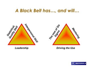 A Black Belt has…, and will…
Leadership Driving the Use
 