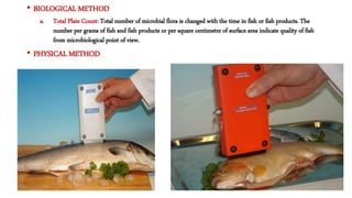 Quality of fresh fish | PPTX