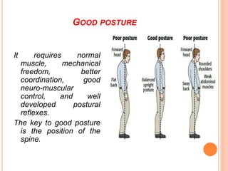Muscle Function Posture EFFECT OF EXERCISES ON POSTURAL DEFORMITIES AND QUALITY OF LIFE | PPTX