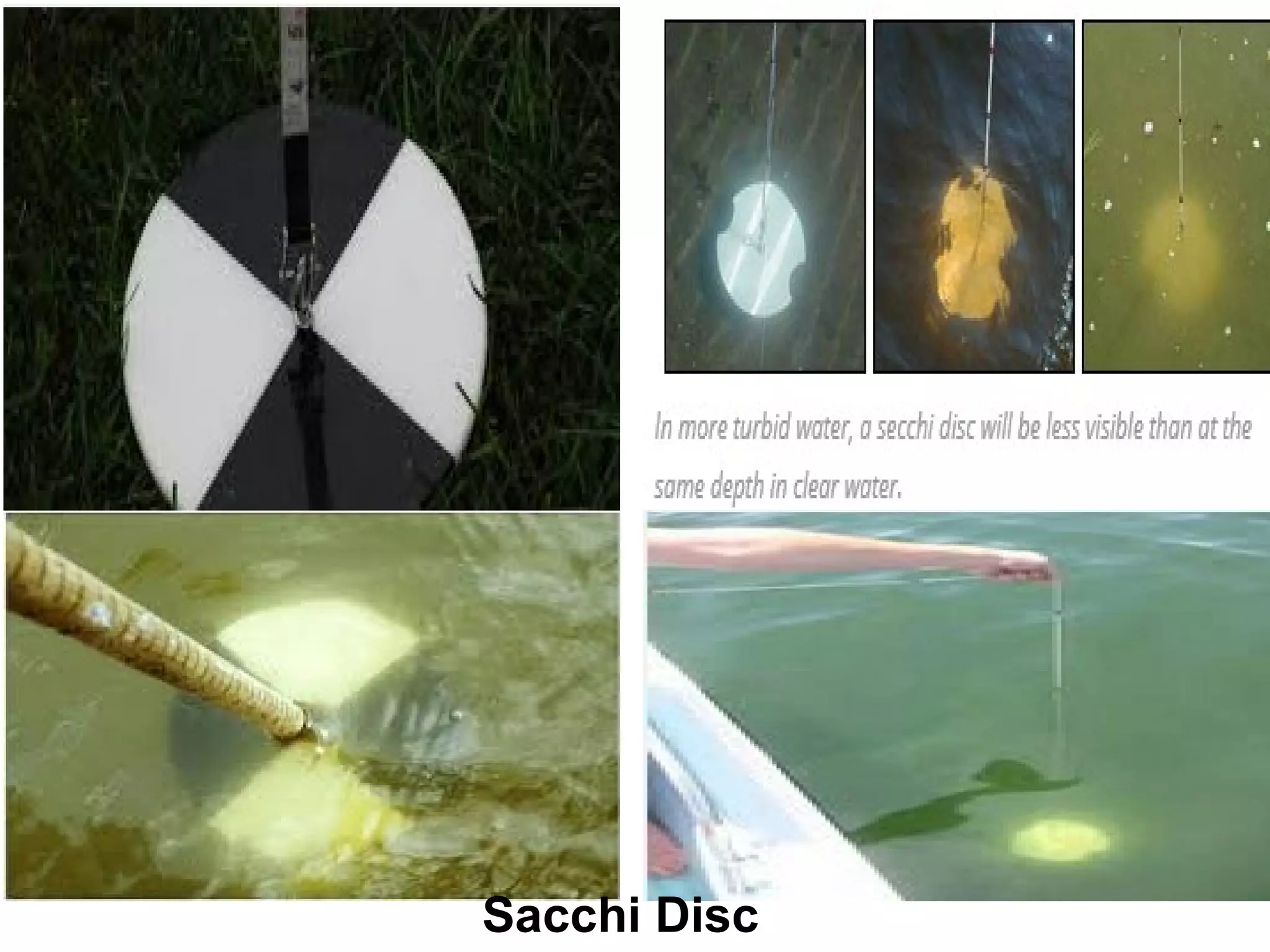 Sacchi Disc
 