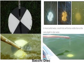 Sacchi Disc
 
