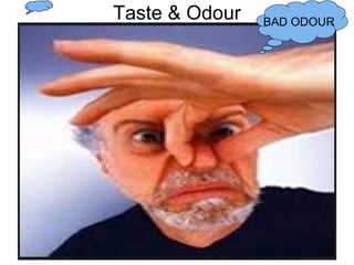 Taste & Odour BAD ODOUR
 