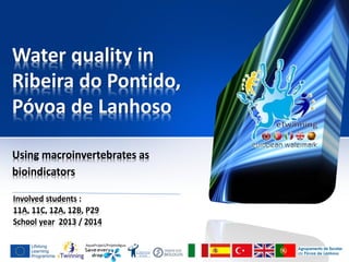 AquaProject/ProjetoAgua
Water quality in
Ribeira do Pontido,
Póvoa de Lanhoso
Using macroinvertebrates as
bioindicators
Involved students :
11A, 11C, 12A, 12B, P29
School year 2013 / 2014
 