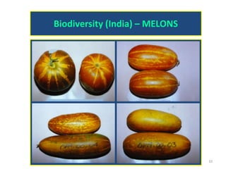 Biodiversity (India) – MELONS
10
 