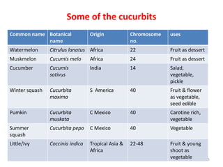 Some of the cucurbits
Common name Botanical
name
Origin Chromosome
no.
uses
Watermelon Citrulus lanatus Africa 22 Fruit as...