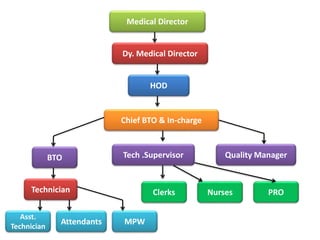 Medical Director
Dy. Medical Director
Chief BTO & In-charge
HOD
BTO Tech .Supervisor Quality Manager
Clerks PRONursesTechnician
Asst.
Technician
Attendants MPW
 