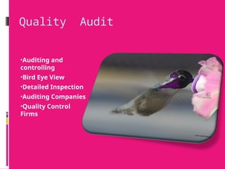 Quality Audit
•Auditing and
controlling
•Bird Eye View
•Detailed Inspection
•Auditing Companies
•Quality Control
Firms
 