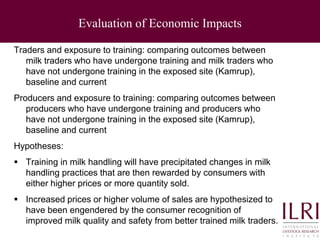 Quality and safety improvements in informal milk markets and implications for food safety policy