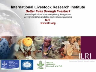 Quality and safety improvements in informal milk markets and implications for food safety policy