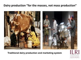 Quality and safety improvements in informal milk markets and implications for food safety policy