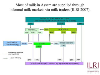 Quality and safety improvements in informal milk markets and implications for food safety policy
