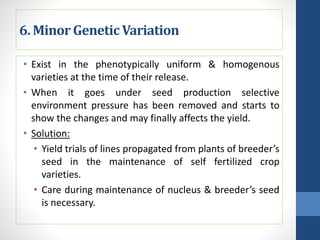 6. Minor GeneticVariation
• Exist in the phenotypically uniform & homogenous
varieties at the time of their release.
• When it goes under seed production selective
environment pressure has been removed and starts to
show the changes and may finally affects the yield.
• Solution:
• Yield trials of lines propagated from plants of breeder’s
seed in the maintenance of self fertilized crop
varieties.
• Care during maintenance of nucleus & breeder’s seed
is necessary.
 