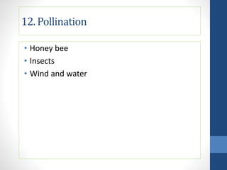 12. Pollination
• Honey bee
• Insects
• Wind and water
 