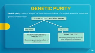 20
DETERMINATION OF GENETIC PURITY
ODV TEST
OTHER DITINGUISHING
VARIETY TEST
Determine genetic purity on basis of
seed characters
GOT TEST
GROW OUT TEST
Determine genetic purity on basis of
plant morphological characters
Genetic purity refers to analysis for detecting the existence of transgenic events or undesirable
genetic varieties in seed.
GENETIC PURITY
 