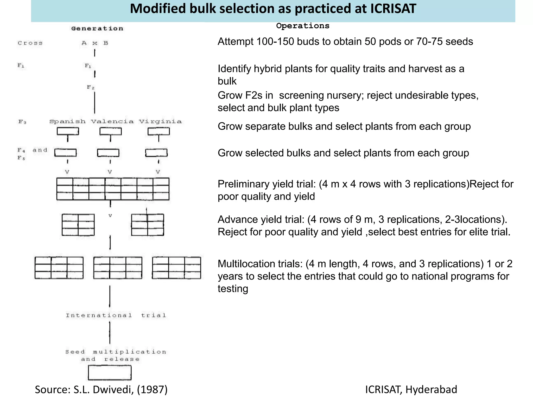 Modified bulk selection as practiced at ICRISAT
Operations
Attempt 100-150 buds to obtain 50 pods or 70-75 seeds
Identify hybrid plants for quality traits and harvest as a
bulk
Grow F2s in screening nursery; reject undesirable types,
select and bulk plant types
Grow separate bulks and select plants from each group
Grow selected bulks and select plants from each group
Preliminary yield trial: (4 m x 4 rows with 3 replications)Reject for
poor quality and yield
Advance yield trial: (4 rows of 9 m, 3 replications, 2-3locations).
Reject for poor quality and yield ,select best entries for elite trial.
Multilocation trials: (4 m length, 4 rows, and 3 replications) 1 or 2
years to select the entries that could go to national programs for
testing
Source: S.L. Dwivedi, (1987) ICRISAT, Hyderabad
 