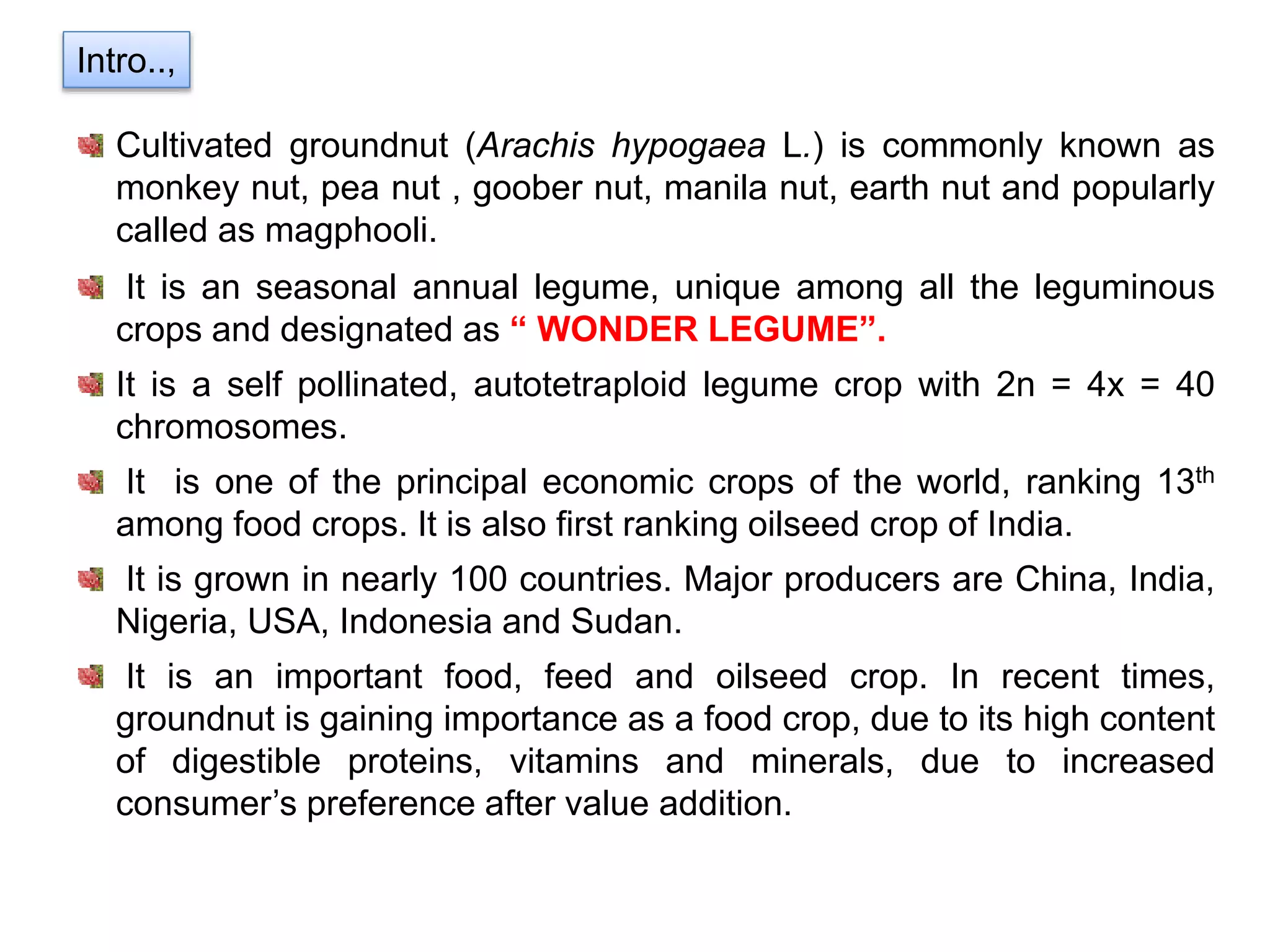 Cultivated groundnut (Arachis hypogaea L.) is commonly known as
monkey nut, pea nut , goober nut, manila nut, earth nut and popularly
called as magphooli.
It is an seasonal annual legume, unique among all the leguminous
crops and designated as “ WONDER LEGUME”.
It is a self pollinated, autotetraploid legume crop with 2n = 4x = 40
chromosomes.
It is one of the principal economic crops of the world, ranking 13th
among food crops. It is also first ranking oilseed crop of India.
It is grown in nearly 100 countries. Major producers are China, India,
Nigeria, USA, Indonesia and Sudan.
It is an important food, feed and oilseed crop. In recent times,
groundnut is gaining importance as a food crop, due to its high content
of digestible proteins, vitamins and minerals, due to increased
consumer’s preference after value addition.
Intro..,
 