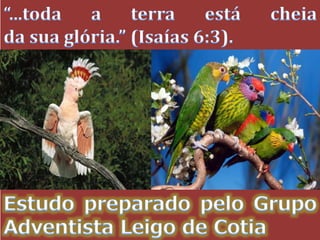 Qual o segredo para...